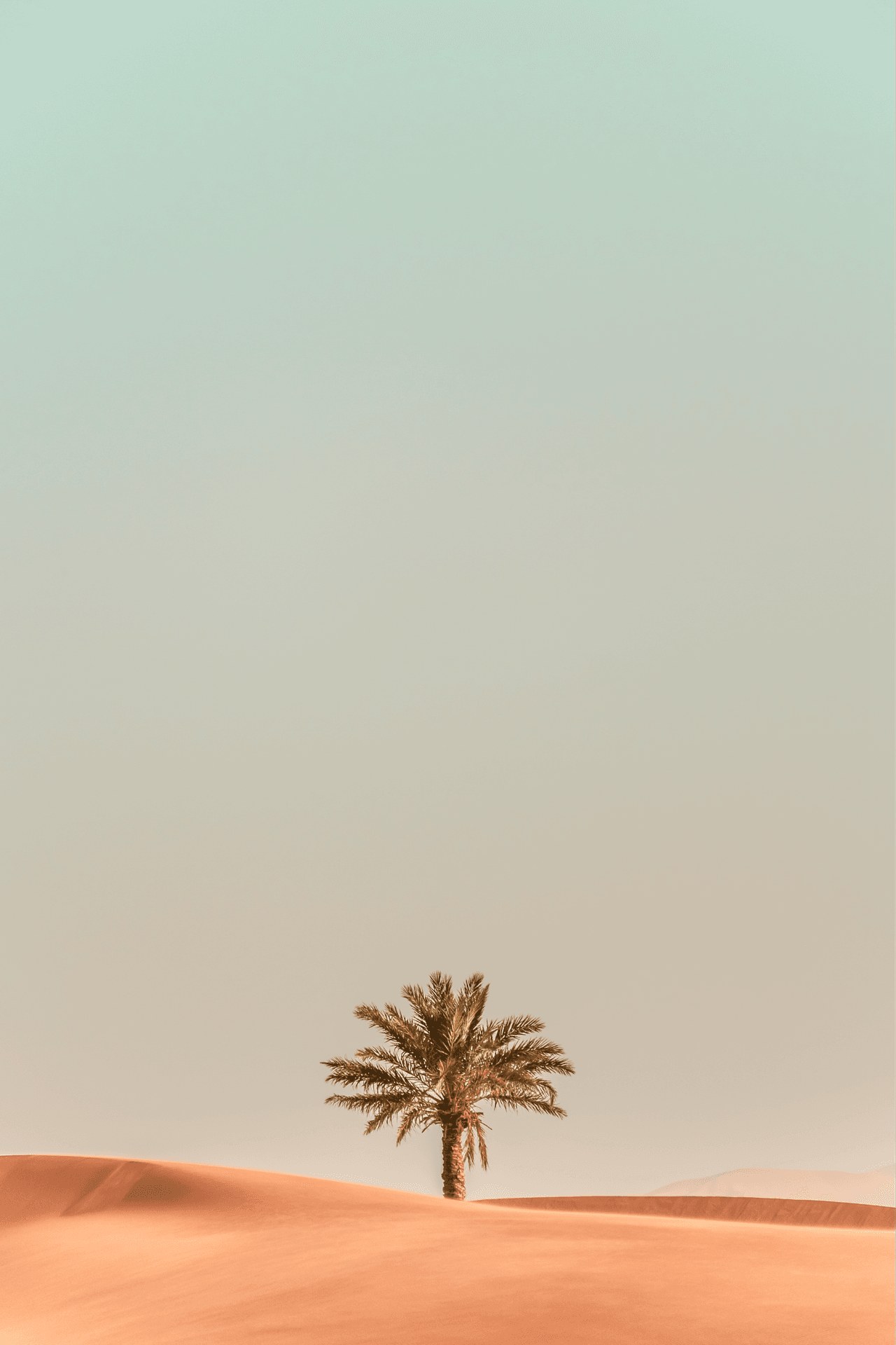 The Oasis Group